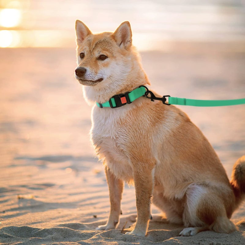CollarDirect Waterproof Dog Leash Small Medium Large Durable Pet Leashes for Walking Training Running Pink Black Blue Orange Green (S, Mint Green) - Image 2